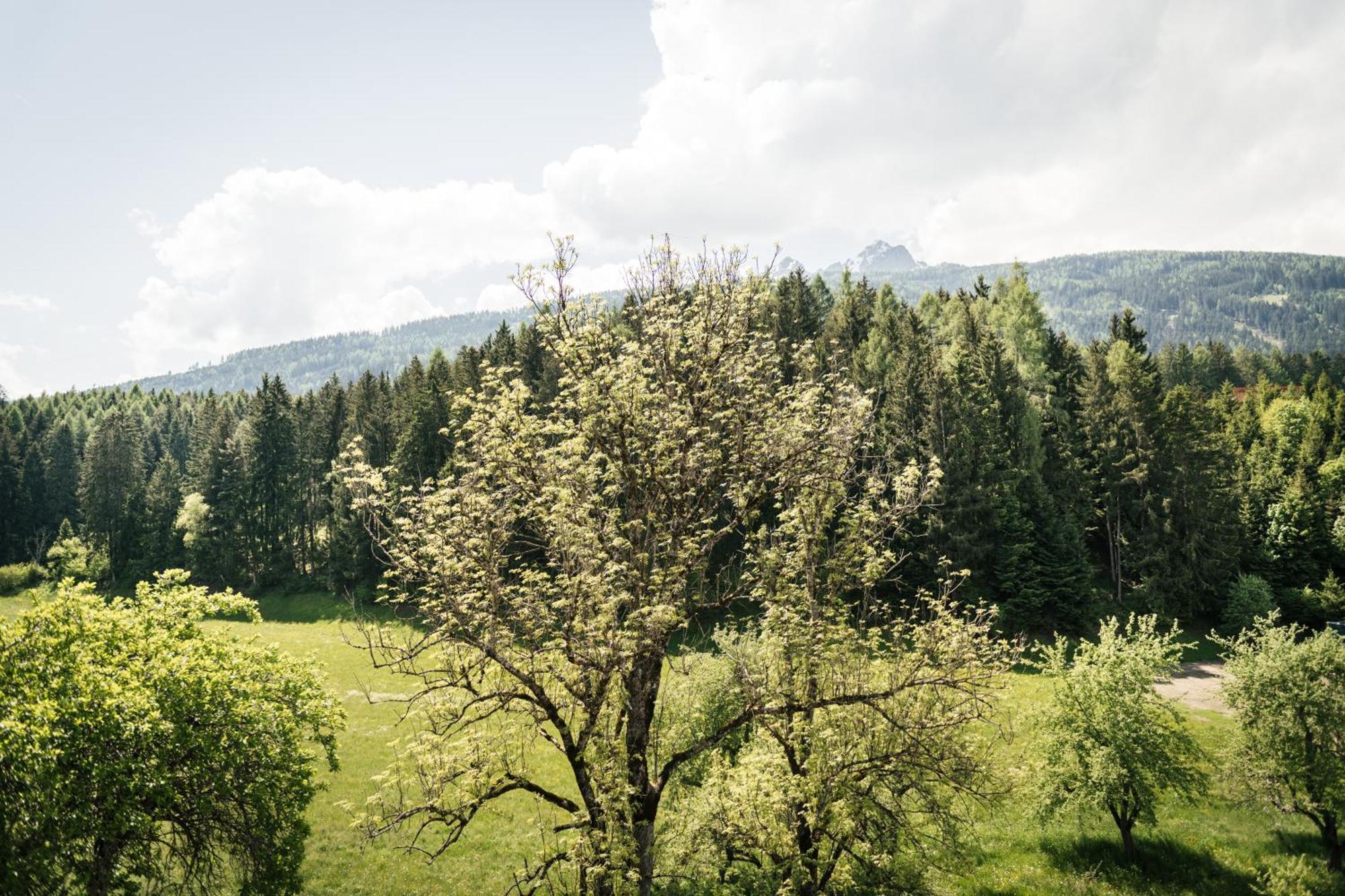 Edenhauserhof Neu Gotzens Exterior foto